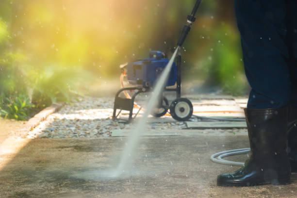 Animal Enclosure Cleaning in Washington, UT